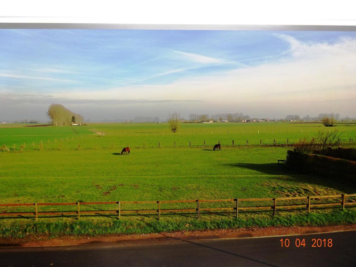 Benbsjerie Bed & Breakfast Maldegem Bagian luar foto